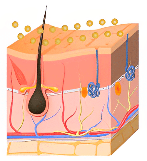 Step 1 of the Gold PTT treatment in Singapore procedure